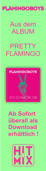 Sternenfeuer - Das Album der Flamingoboys